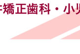 ボンジュールビル フロアガイド１号館２階／坂井矯正歯科・小児歯科