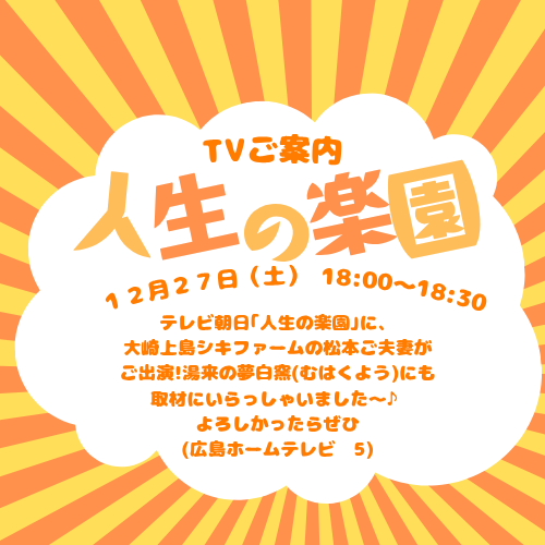 人生の楽園に夢白窯